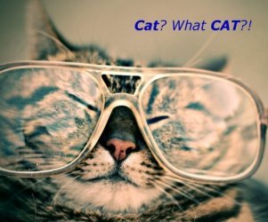 CAT tools – how we save your money